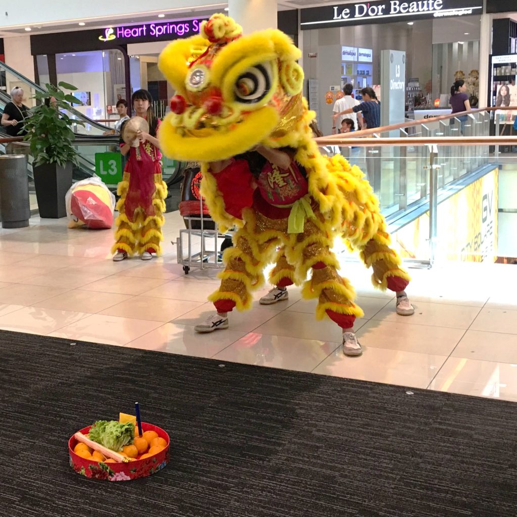 sstc-institute-ushers-in-the-lunar-new-year-of-the-rooster-sstc